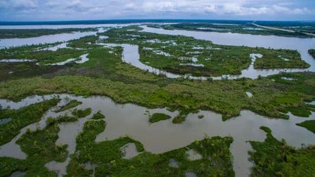 Supreme Court Wades Into Louisiana’s Coastal Erosion Lawsuit Issue