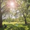 UK temps to hit 26C this weekend after sunniest spring on record
