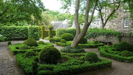 The serene secret garden tucked away in the heart of Edinburgh's bustling city centre