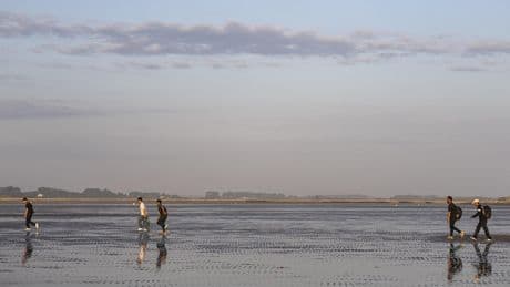 Gravelines : le corps retrouvé est bien celui de l'enfant de 13 ans disparu en mer