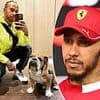 Lewis Hamilton's adored dog Roscoe suffering with serious illness as caretaker issues health update