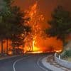 Twee doden bij grote natuurbrand Cyprus, honderden mensen geëvacueerd