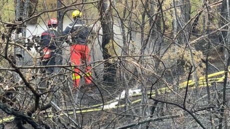 Alpes-de-Haute-Provence: 3.000m² brûlés par un incendie, une enquête ouverte