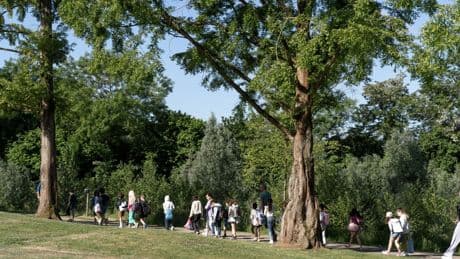 Een parel van een park in Sittard is helemaal gerenoveerd. De omgevallen treurwilg mocht, na een publieksactie, gelukkig blijven