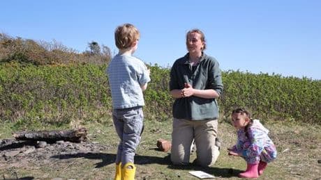 Exciting summer holiday events planned for Dumfries and Galloway coastal woodlands