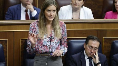 Aagesen tilda de &quot;bulo&quot; que un experimento provocara el apagón, pero admite que aún no conoce las causas