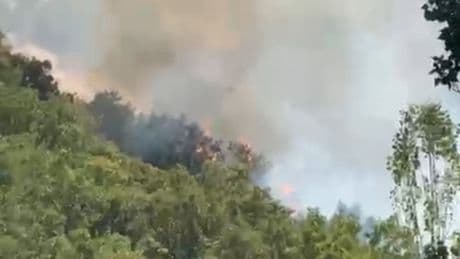 Hakkari'de orman yangını