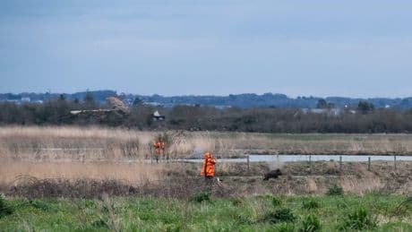 Chasse : les accidents repartent à la hausse avec 11 chasseurs tués la saison dernière