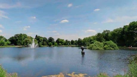 Limburg heeft eigen monster van Loch Ness: ’Meer dan 2 meter lang en slokt tot 50 kilo vis maar ook meerkoetjes op’