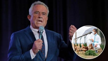 El descabellado plan de Robert Kennedy contra la gripe aviar que alarma a los científicos: "Puede ser una tragedia"