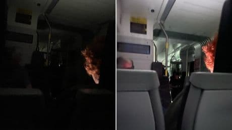 Passengers plunged into ‘pitch black’ darkness after train gets stuck in tunnel
