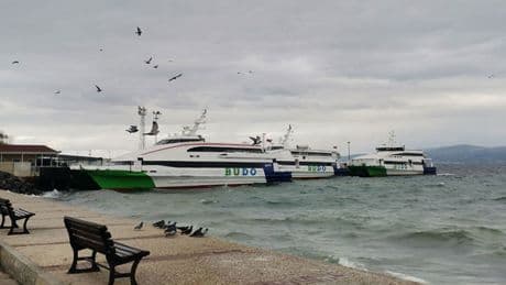 Bursa Deniz Otobüslerinin 10 seferi iptal edildi