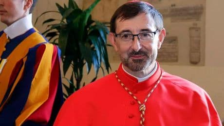 El cardenal Cobo, horas antes de su primer Cónclave: "Sería bueno un papado de 10-15 años, que no sea demasiado largo"