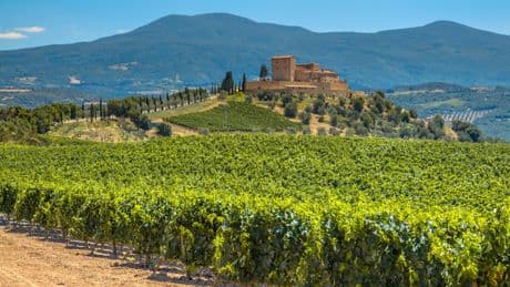 Visiter la Toscane en 7 jours : itinéraire jour par jour et conseils pratiques