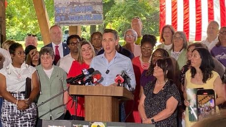 Hawley rebukes Democrats' heated rhetoric after attacks on ICE, border patrol facilities: 'Knock it off'