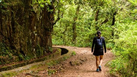 &quot;Subir arriba&quot; y &quot;bajar abajo&quot;: la RAE aclara por qué estas expresiones tienen sentido