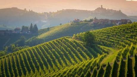 Parusso, in ascolto del Barolo