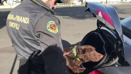 Porto Venere, i finanzieri salvano il cane di una coppia di turisti da un colpo di calore