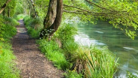 Plastic Particles Found In Iconic U.K Chalk Stream River, Study Finds