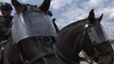 Protests at G7 summit in Alberta set to be largely peaceful, targeting Trump policies