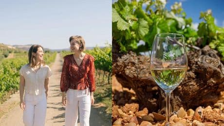 Lacrima Terrae, expertas en enología, dan la clave para elegir el mejor vino blanco en un restaurante: "Piensa en fruta"