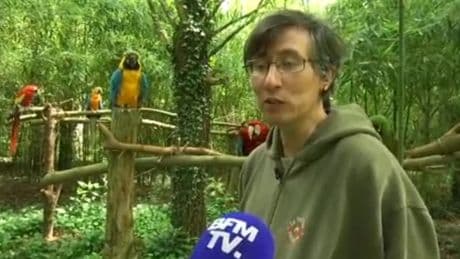 "On ne dort pas la nuit": un parc de perroquets de la Drôme interdit d'ouvrir cet été