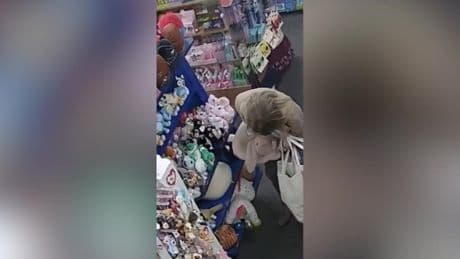 Woman caught stealing ‘£400 of Jellycats’ from Worcester garden centre by stuffing them down her trousers