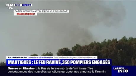 Incendie et changement climatique: comment reboiser une forêt en pensant à l'avenir?