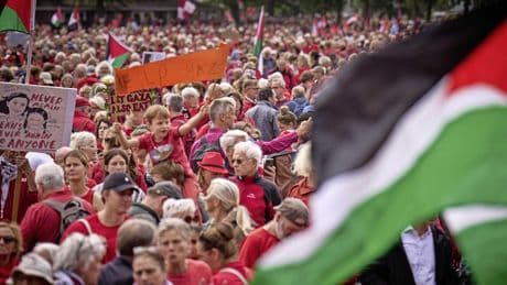 Al tienduizenden mensen op Malieveld voor Gaza-protest