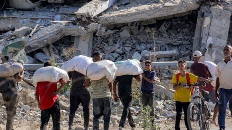 Krieg in Nahost: Hunger in Gaza: Schwere Vorwürfe im UN-Sicherheitsrat gegen Israel