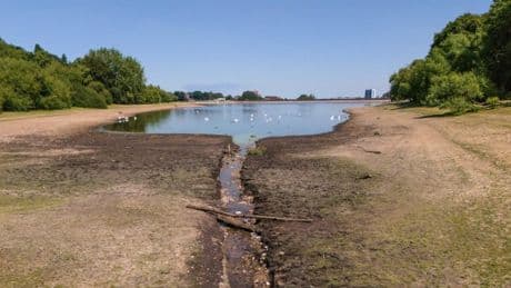 Here’s why a drought is so bad for you