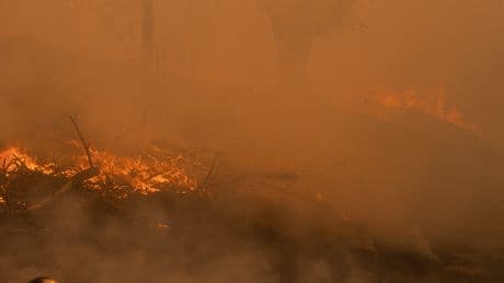 Wildfire Fighters, Unmasked in Toxic Smoke, Are Getting Sick and Dying