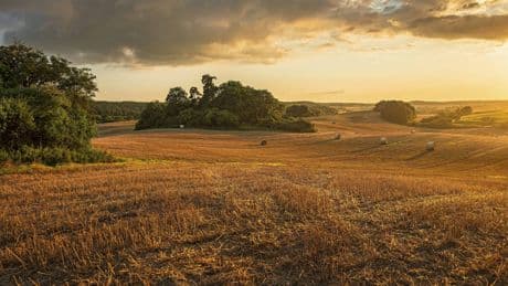 Ausflug ab Berlin: Natur im UNESCO-Reservat Schorfheide-Chorin