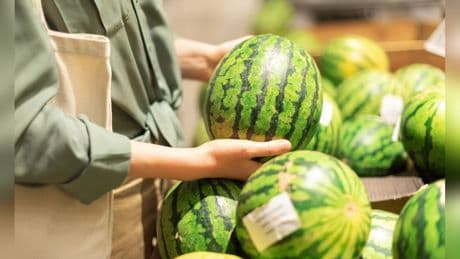 Das perfekte Obst: So erkennt man den idealen Reifegrad