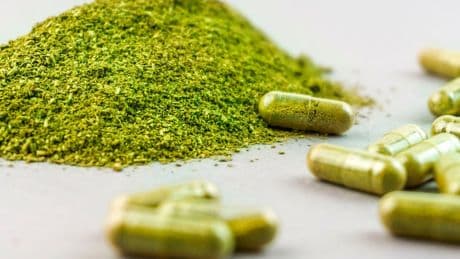 Gesundheit: Gefährlicher Pflanzenextrakt: Bundesamt warnt vor Kratom