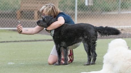 Perros y gatos son familia, pero un 52% de los dueños ha renunciado a los cuidados veterinarios por su coste
