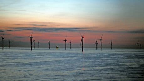 Kein Investor in Sicht: Windpark-Auktion endet ganz ohne Gebote