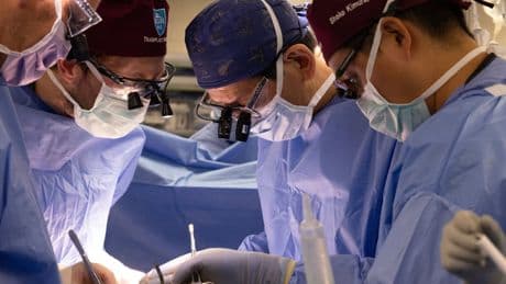 Another New Hampshire man gets a pig kidney as transplant trials are poised to start