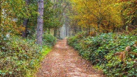 Quiet market town steeped in history was 'England's capital' 300 years before London