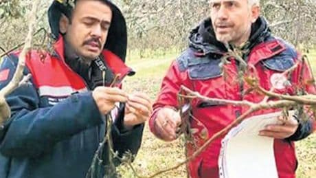 Sigorta ödemeleri nasıl olacak?