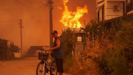 Turkey wildfire LIVE: All flights from popular holiday destination grounded