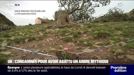 Royaume-Uni: quatre ans de prison pour les deux hommes ayant abattu un arbre mythique près du mur d'Hadrien