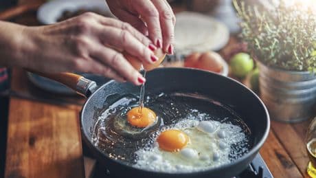 Sollte daraus ein Küken werden? Deshalb haben manche Eier einen braunen Fleck