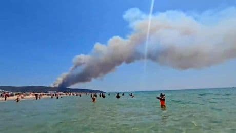 Los incendios se extienden por toda España en condiciones "extremas": la UME despliega casi a un millar de efectivos