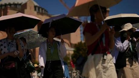 Hitzewelle in Südeuropa: Schutzmaßnahmen in Italien, Waldbrände und Wasserknappheit in der Türkei