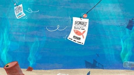 François Sarano : « La Méditerranée peut redevenir riche, il faut lui laisser le temps »