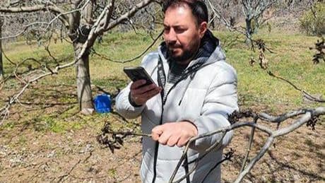 TARSİM zirai don olayının kayısılardaki etkilerini yerinde tespit etti