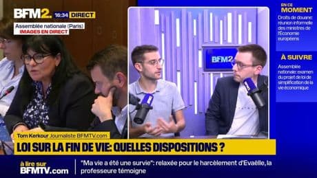 Loi sur la fin de vie: les deux propositions examinées en commission à l'Assemblée