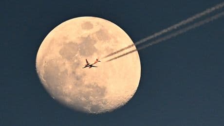 Nasa bietet 2,7 Mio. Euro! - Wer möchte den Mond von 96 Tüten Kot befreien?