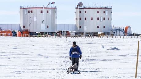 Les scientifiques s’inquiètent pour l’avenir de l’Institut polaire français en Antarctique